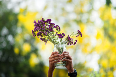 Close-up of person holding flowers against blurred background