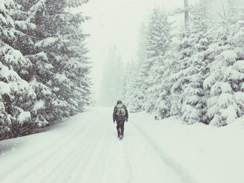 Man walking on snow covered trees