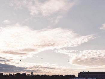 Low angle view of silhouette birds flying against sky