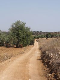 Dirt road amidst trees against clear sky