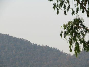 Scenic view of mountains against clear sky