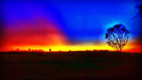 Silhouette of trees on landscape at sunset