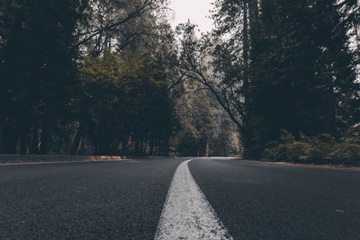 Empty road amidst trees in forest