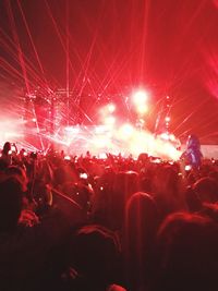 Crowd at music concert