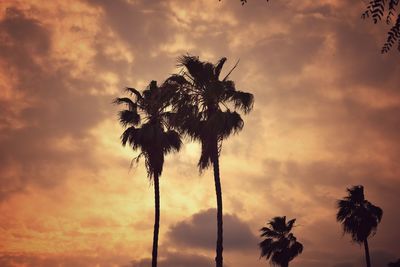 Low angle view of silhouette coconut palm tree against dramatic sky