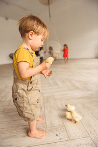Boy playing with ducks for easter