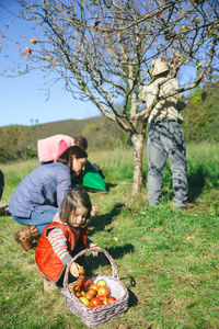 Girl with family putting apple in basket on field during sunny day