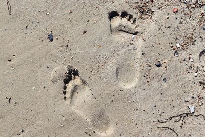 High angle view of footprints on sand