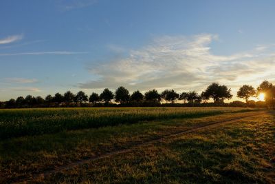 Scenic view of sunset at farm field against sky