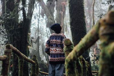 Rear view of woman standing amidst trees in forest