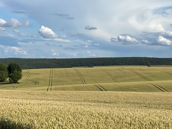 Scenic view of agricultural field against sky