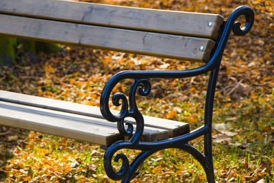 Chair in the park and autumn leaves on the land in georgia