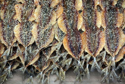 Close-up of dried fishes at market stall