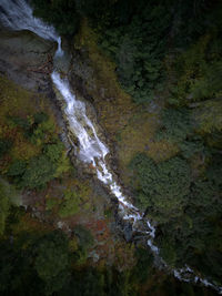 High angle view of waterfall in forest