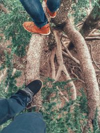 Low section of woman standing on ground