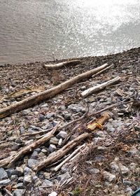 Close-up of water