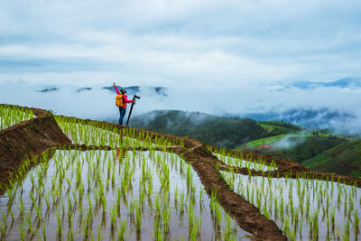 Woman holding camera while standing in farm