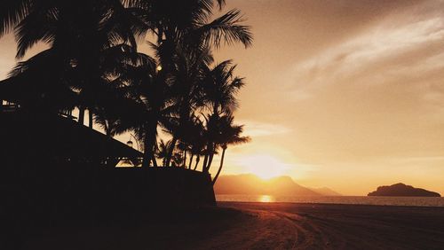 Silhouette trees on beach against sky at sunset