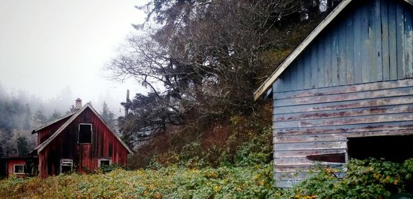 View of house with trees in background