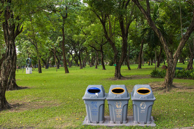 Trees in park