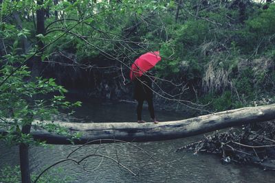 Full length of woman standing in forest