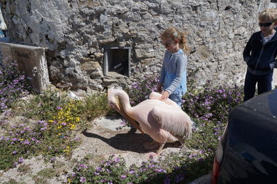 Rear view of people with dog standing against plants