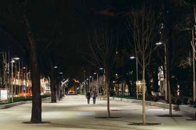 Illuminated street lights at night