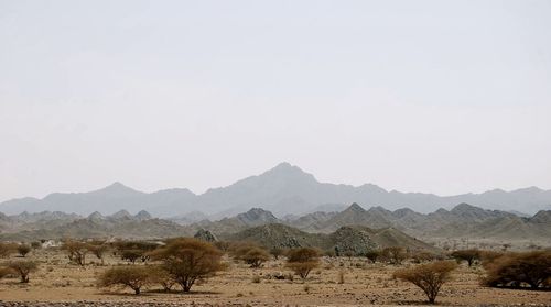 Scenic view of mountains