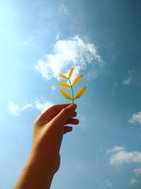 Close-up of hand holding leaf against sky