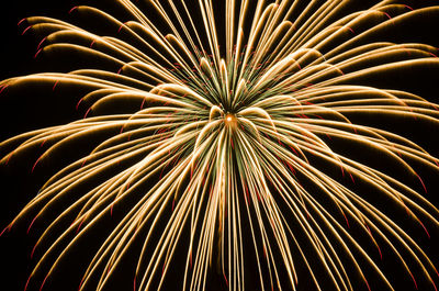 Low angle view of firework display at night