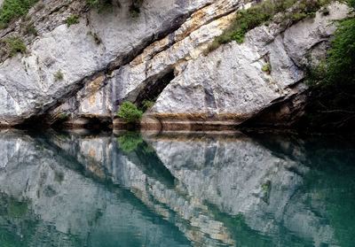 Close-up of rock by lake