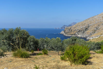 Scenic view of sea against clear blue sky