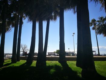 Trees against clear blue sky