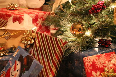 Close-up of christmas tree at night