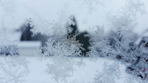 Close-up of snowflakes on glass against sky