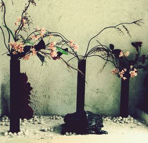 Potted plants on wall