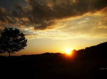 Silhouette of trees at sunset