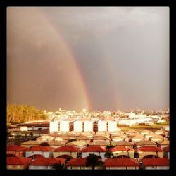 Rainbow over city