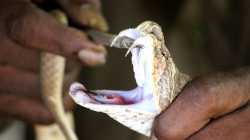 Close-up of man holding ice cream