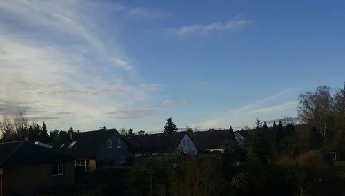 Panoramic view of trees against sky