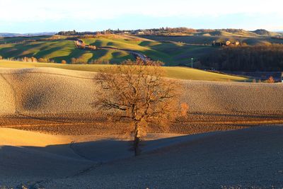 Scenic view of land against sky