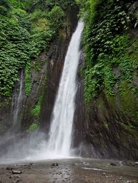 Scenic view of waterfall in forest