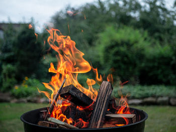 Bonfire on wooden log