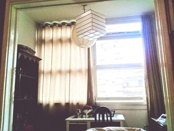 Cat on table by window at home