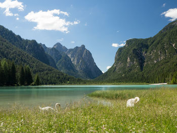Scenic view of lake and mountains against sky