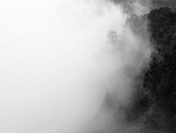 Low angle view of trees against sky