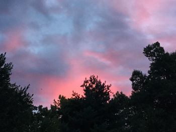 Low angle view of trees against cloudy sky