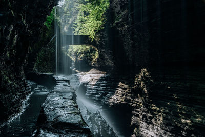 View of waterfall in forest