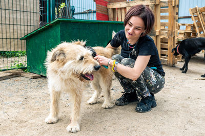 Dog at the shelter. animal shelter volunteer takes care of dogs. lonely dogs in cage with volunteer.