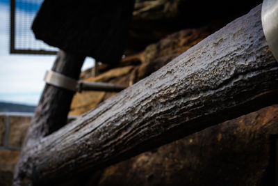 Close-up of wood on roof